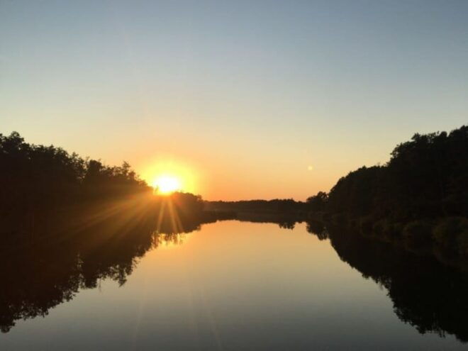 Anklam: Evening Wildlife Boat Tour With Naturalist Guide - Boat Features