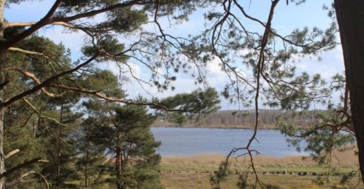 Anklam: Guided Hiking Tour in Peenetal Nature Park - Key Points