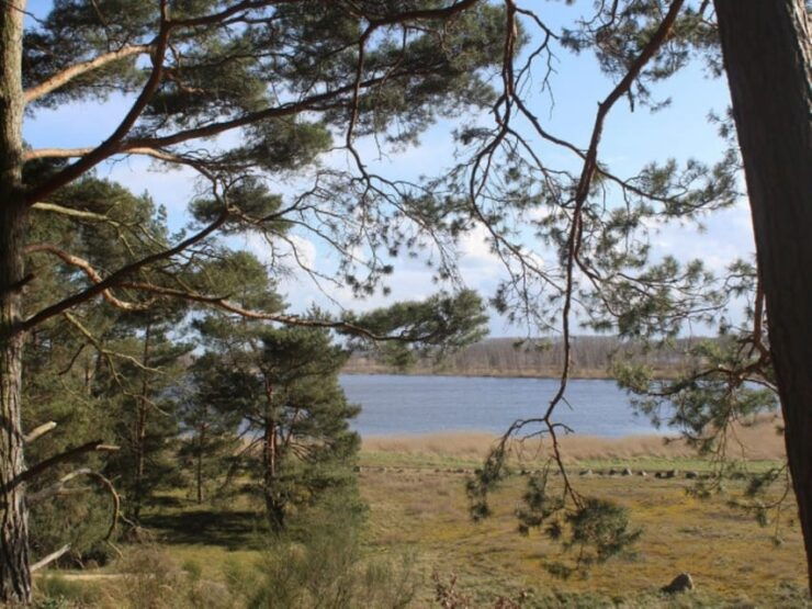Anklam: Guided Hiking Tour in Peenetal Nature Park - Booking Your Experience