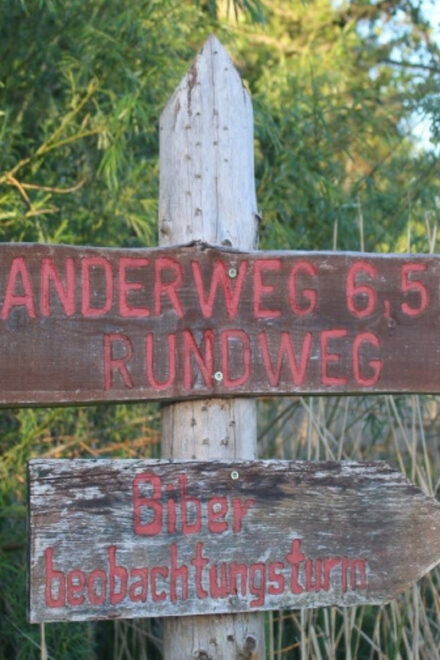 Anklam: Guided Hiking Tour in Peenetal Nature Park - Wildlife Encounter Opportunities