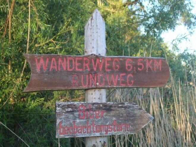 Anklam: Guided Hiking Tour in Peenetal Nature Park - Nature and Ecology Insights