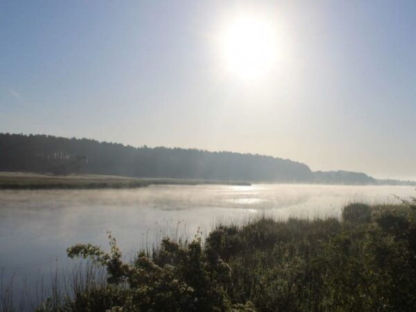 Anklam: Guided Hiking Tour in Peenetal Nature Park - Customer Experiences