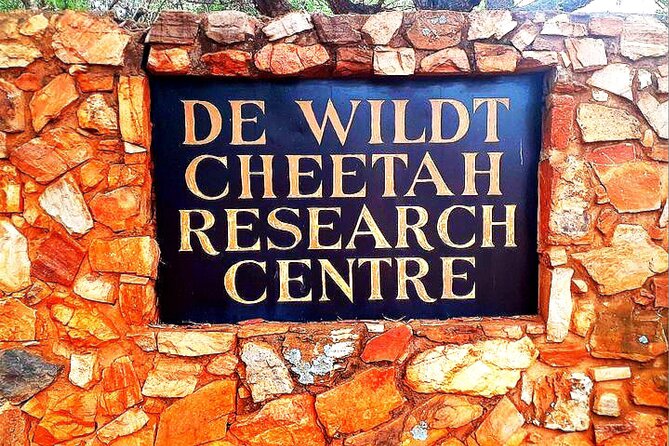 Ann De-Wildt Cheetah Tour - Wildlife Encounters