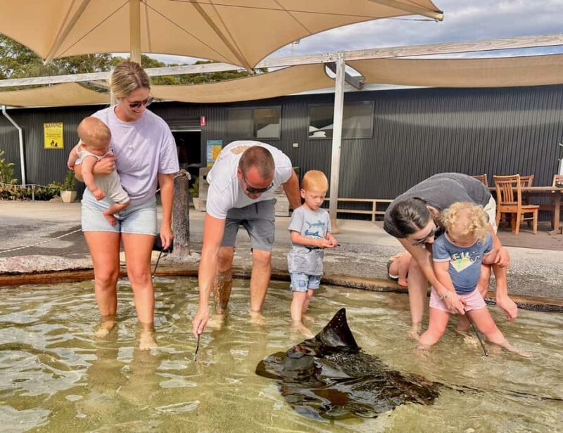 Anna Bay: Irukandji Entry Pass with Shallows Encounter - The Experience’s Flaws & Considerations