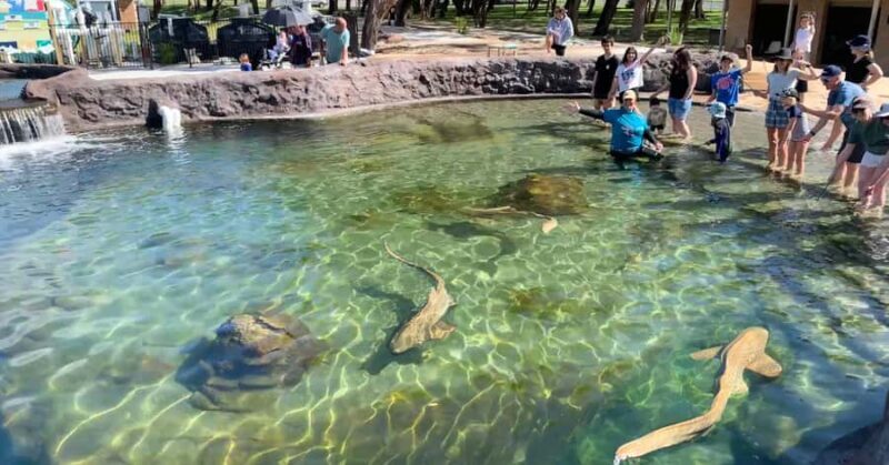 Anna Bay: Irukandji Entry Pass with Shallows Encounter - FAQs