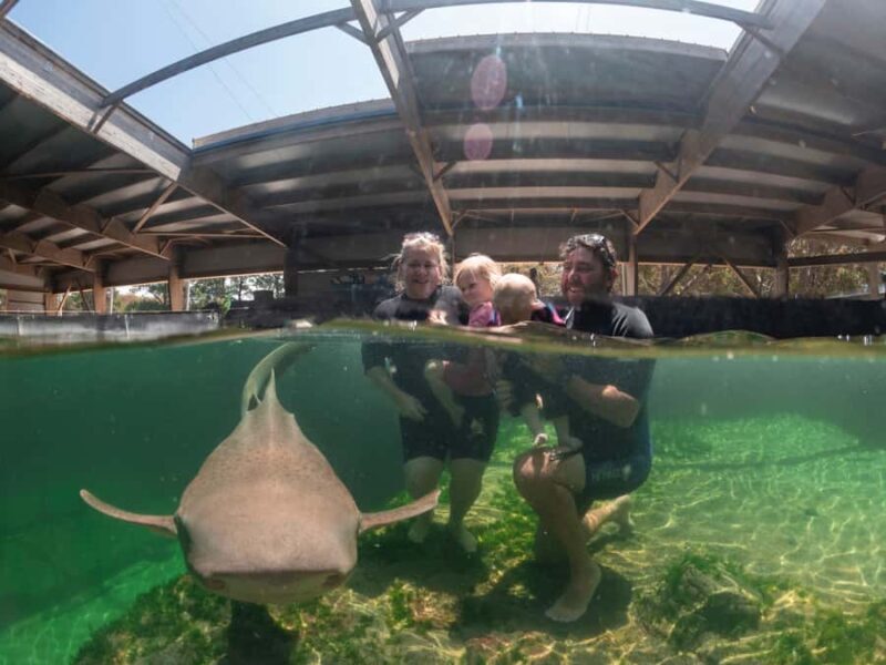 Anna Bay: Irukandji Entry Pass with Zebra Shark Encounter - Who Would Love This Tour?