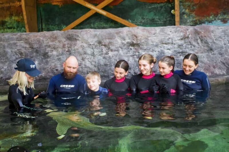 Anna Bay: Irukandji Entry Pass with Zebra Shark Encounter - What’s the Experience Like?