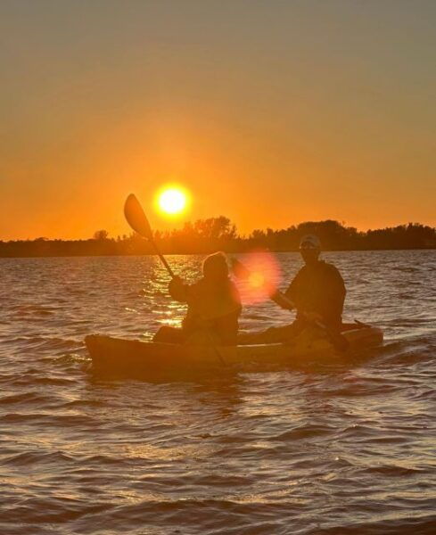 Anna Maria Island and Bradenton: Sunset Kayak Dolphin Tour - The Sum Up