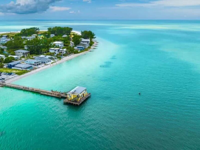 Anna Maria Island: Dolphin Cruise - An In-Depth Look at the Tour Experience