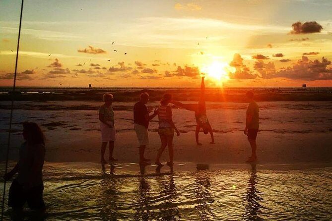 Anna Maria Island Dolphin Sunset Boat Tour - An In-Depth Look at the Tour Experience