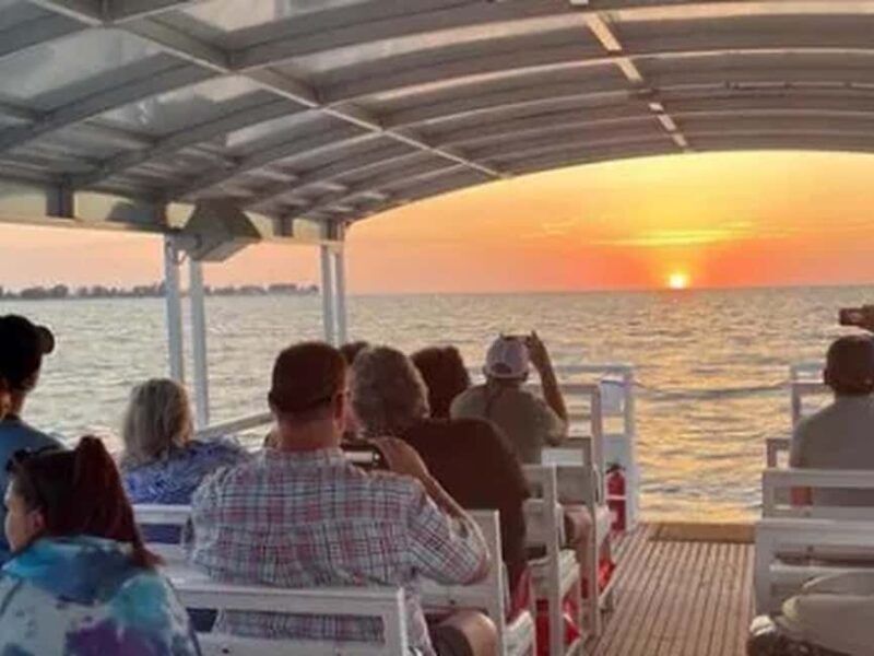 Anna Maria Island: Sunset Dolphin Cruise - Who Will Love This Tour?