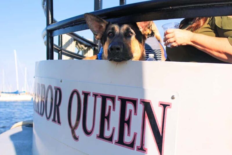 Annapolis: Annapolis Harbor and U.S. Naval Academy Cruise - Who Is This Tour Best For?