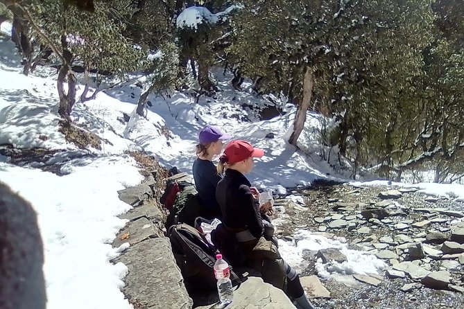 Annapurna: 5 Days Poon Hill Circuit Trek From Pokhara - Day 3: Ghorepani to Poon Hill and Tadapani