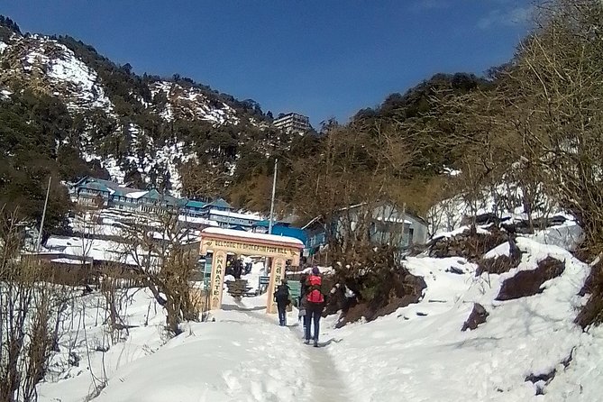 Annapurna: 5 Days Poon Hill Circuit Trek From Pokhara - Day 4: Tadapani to Ghandruk and Back to Pokhara