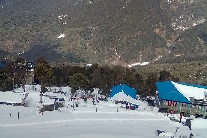 Annapurna: 5 Days Poon Hill Circuit Trek From Pokhara - Common Questions