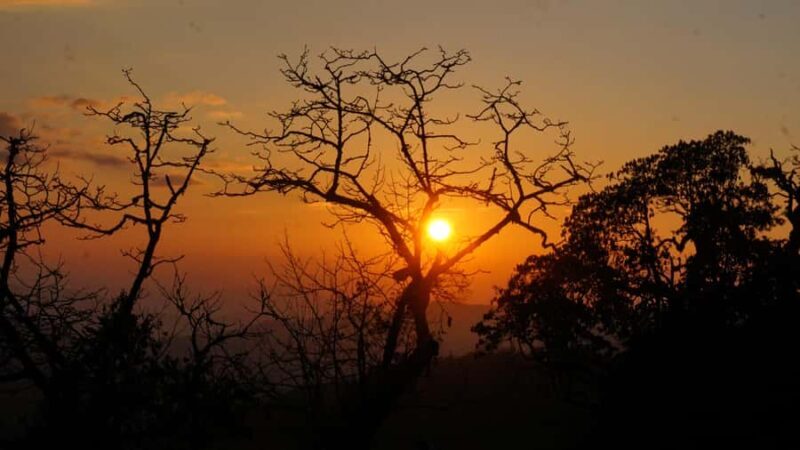 Annapurna: 8 Day Guided easy Trek at Annapurna - The Sum Up: Who Is This Trek Perfect For?