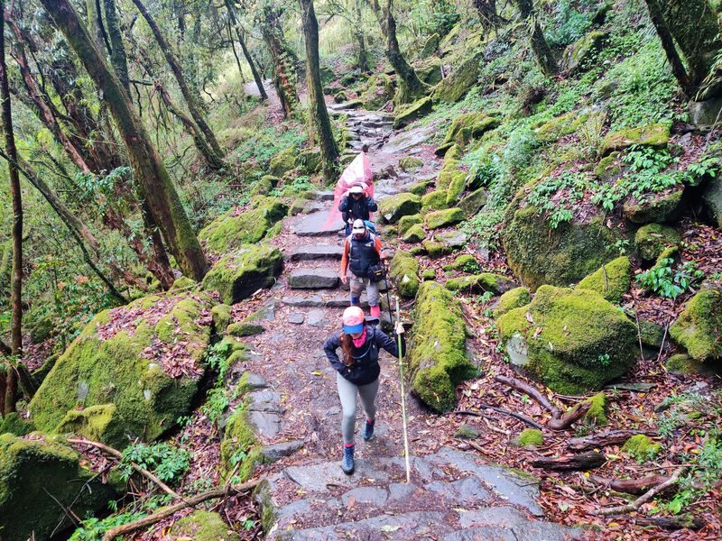 Annapurna Base Camp (ABC) 5-Day Guided Trek from Kathmandu/Pokhara - Pack for cold, rain and a long walk