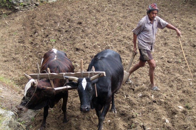 Annapurna Base Camp Trek - Common Questions