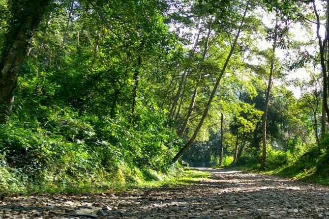 Annapurna Base Camp Trek- 11 Days - Reviews