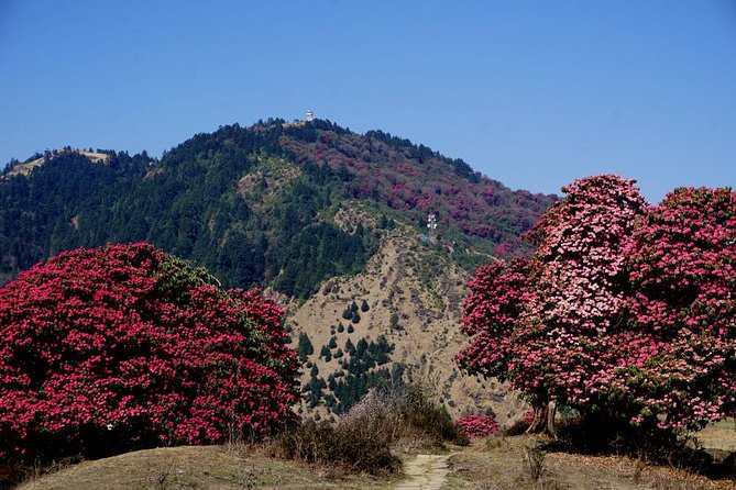 Annapurna Base Camp Trek - Pickup Details