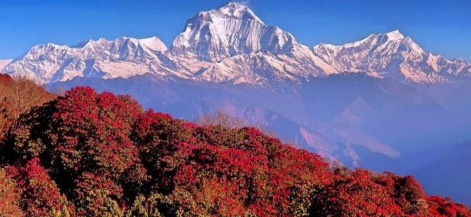 Annapurna Base Camp Trek- 13 Days - Inclusions and Accommodations