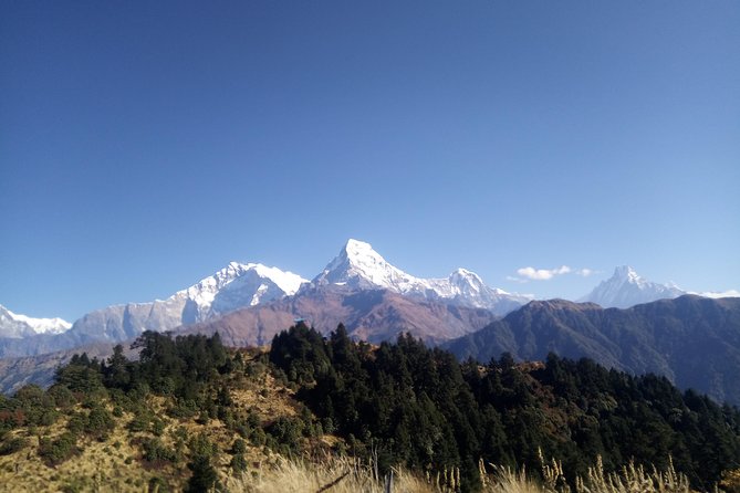 Annapurna Base Camp Trek - Trek Highlights