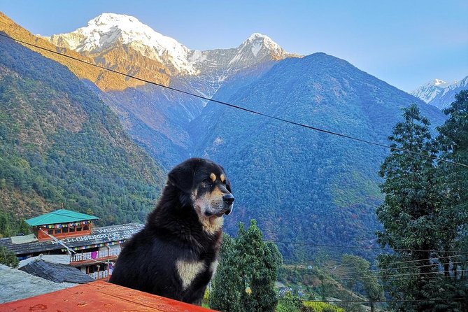 Annapurna Base Camp Trek - Tips for a Successful Annapurna Base Camp Trek