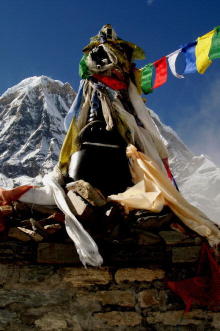 Annapurna Base Camp Trek: 5 Days From Pokhara - Booking and Cancellation Policy