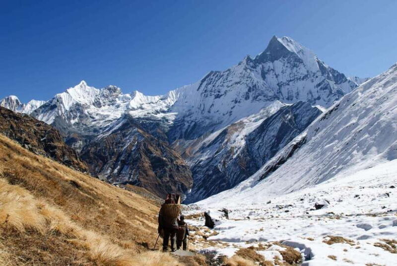 Annapurna Base Camp trek 7 days - Transportation, Guides, and Included Services