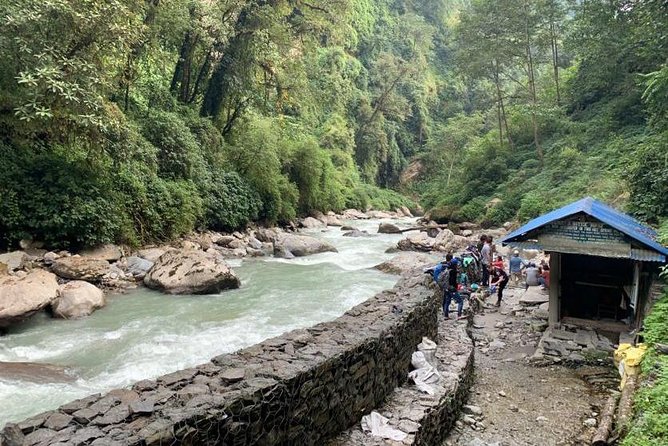 Annapurna Base Camp Trek 9 Days - Accommodation and Food