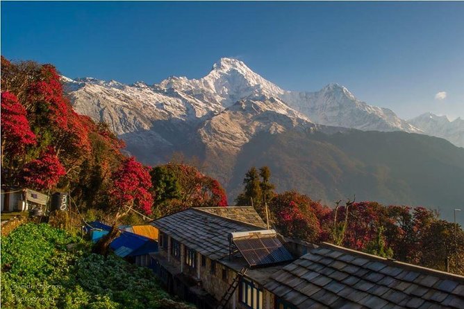 Annapurna Base Camp Trek and Chitwan Excursion - Transportation and Accommodation