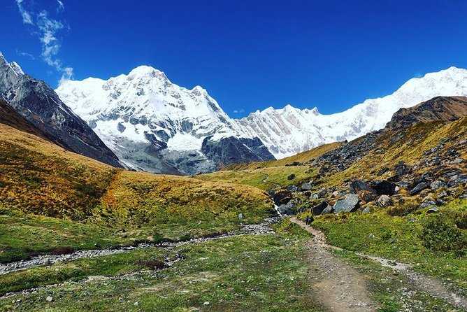Annapurna Base Camp Trek and Chitwan Excursion - Meals Included