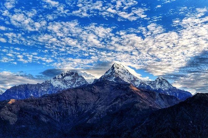 Annapurna Base Camp Trek and Chitwan Excursion - Meeting and Pickup