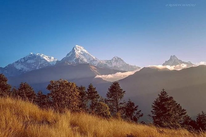 Annapurna Base Camp Trek and Chitwan Excursion - Cancellation Policy