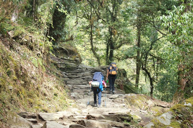 Annapurna Base Camp Trek From Pokhara Nepal - Overview of Annapurna Base Camp Trek