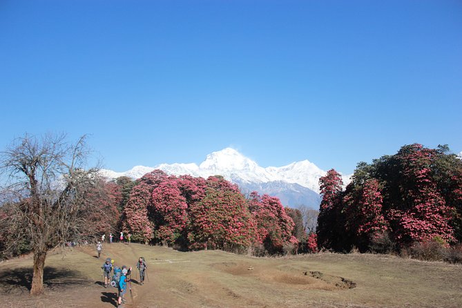 Annapurna Base Camp Trek From Pokhara Nepal - Accommodation and Facilities Along the Trek