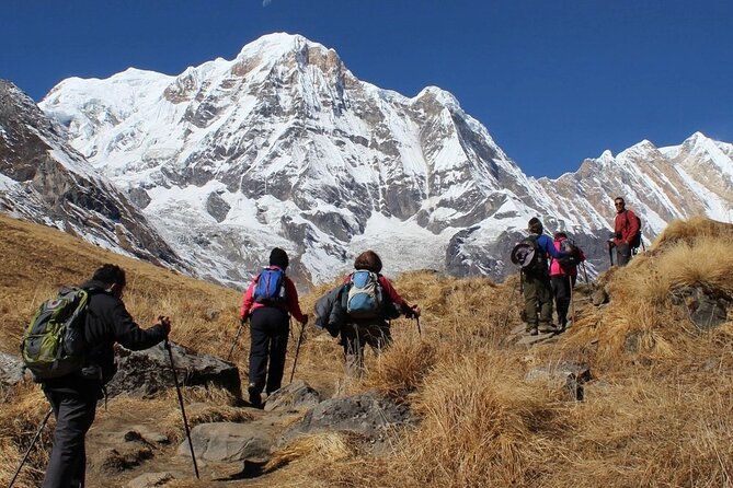 Annapurna Base Camp Trekking 07 Days - Transportation and Accommodation