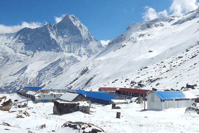 Annapurna Base Camp Trekking 07 Days - Pricing and Terms