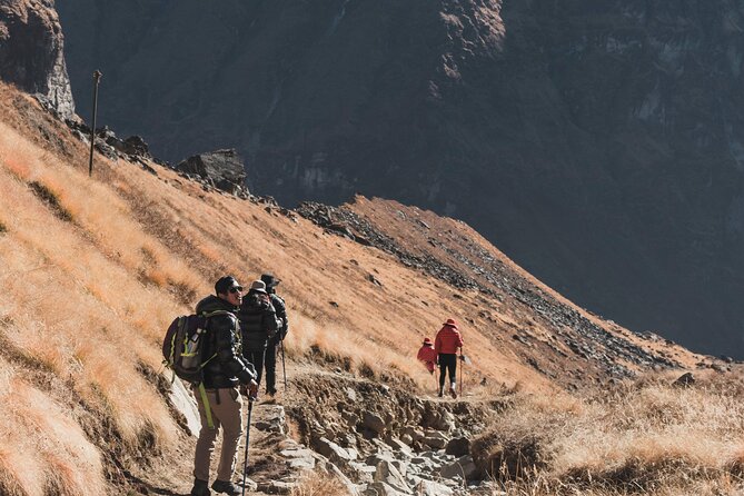 Annapurna Base Camp Trekking - Meeting and Pickup Information