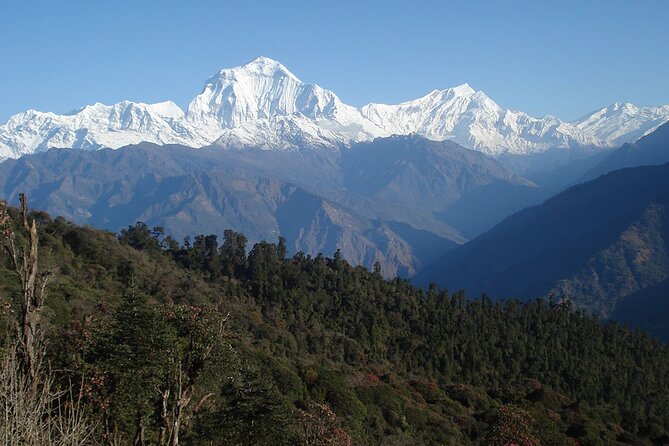 Annapurna Base Camp Trekking - Cancellation Policy and Refunds
