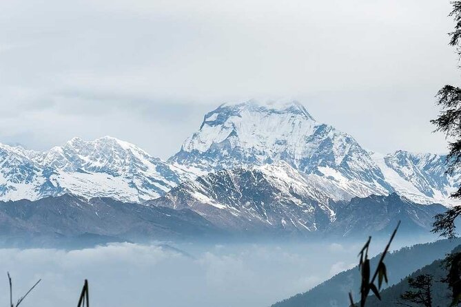 Annapurna Base Camp With Poon Hill 9-Day Trek Itinerary - Common Questions