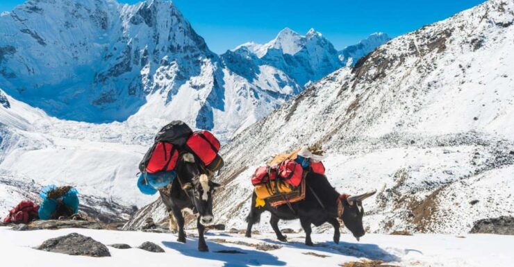 Annapurna Circuit and Tilicho Lake 17 Days Trek - Experience and Cultural Immersion