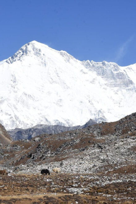 Annapurna Circuit Short Trek - 12 Days - Transportation Options