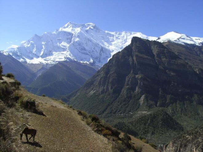Annapurna Circuit Short Trek - Booking Process