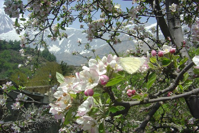 Annapurna Circuit Trek - Required Permits and Cards