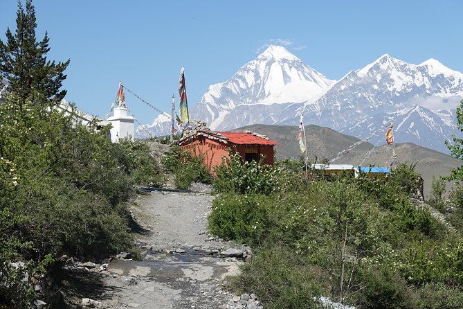 Annapurna Circuit Trek - Trek Highlights