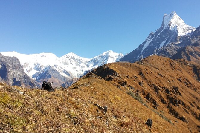 Annapurna Circuit Trek - Common Questions