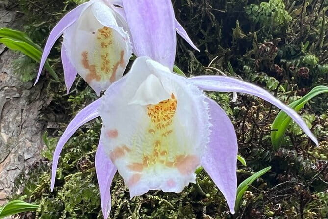 Annapurna Circuit Trek in Nepal (9 Days) - FAQ