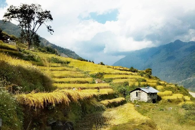 Annapurna Circuit Trekking -17 Days - Annapurna Circuit Trekking Experience