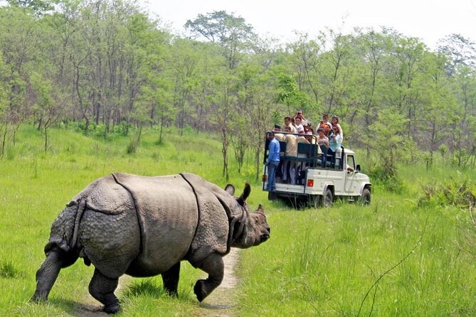 Annapurna Comfort Trekking Combined Chitwan Safari Tour - Best Time to Visit for the Trekking and Safari Experience